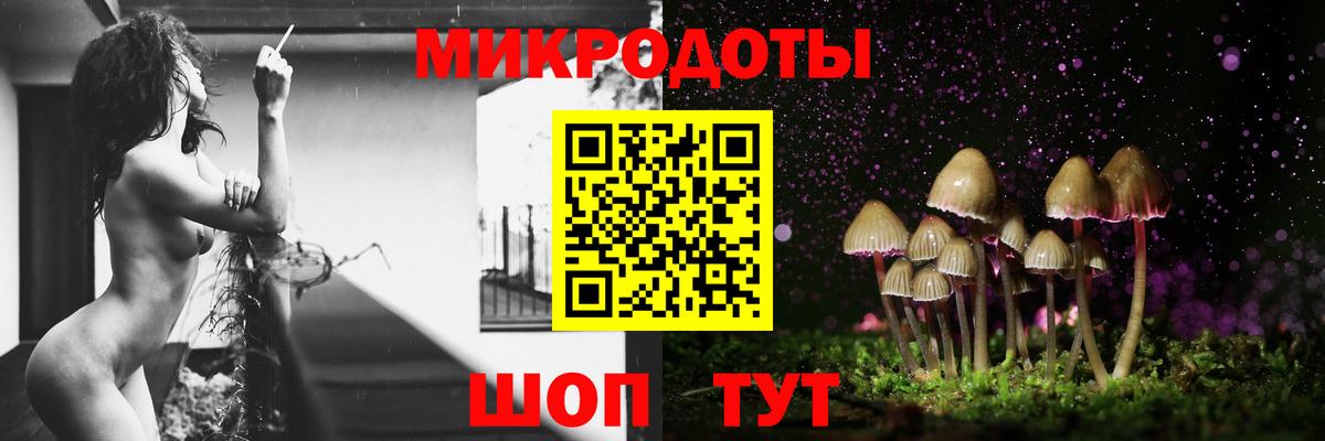 Псилоцибиновые грибы Psilocybine cubensis  Вход с VPN  Краснознаменск 